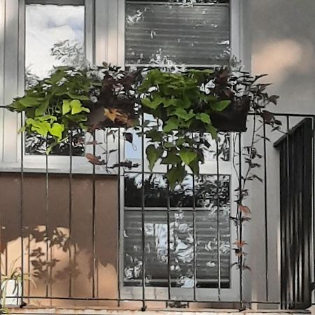 Apartament Jak W Domu Zamość Екстериор снимка