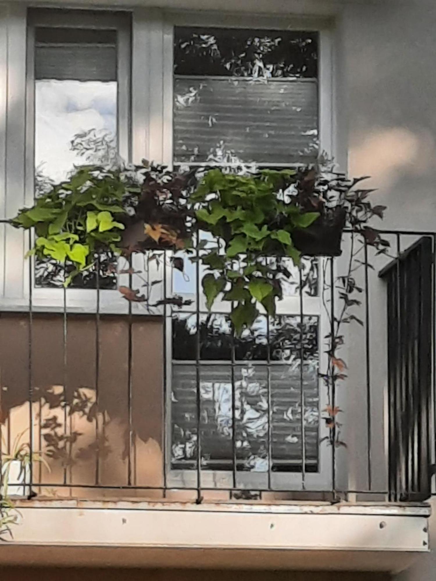 Apartament Jak W Domu Zamość Екстериор снимка