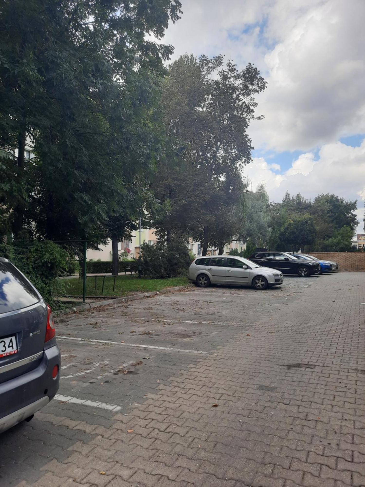 Apartament Jak W Domu Zamość Екстериор снимка