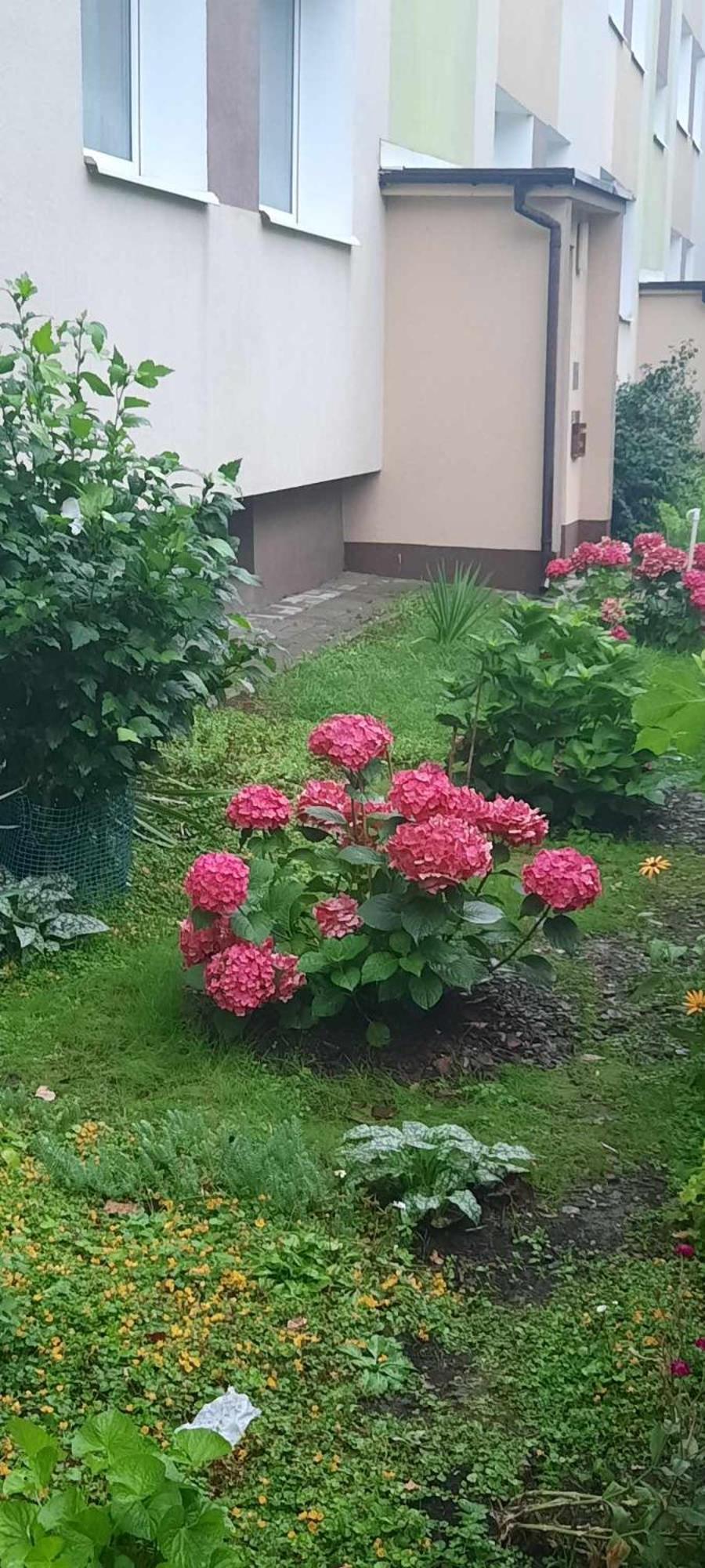 Apartament Jak W Domu Zamość Екстериор снимка